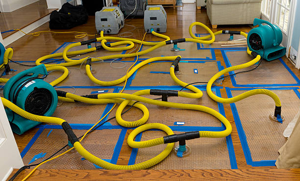 Professional Storm Water Damage Restoration technician working in Platteville, CO